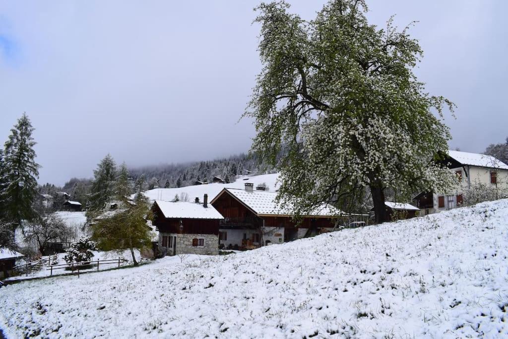 Le Hameau De Chantemerle Samoens Exterior photo
